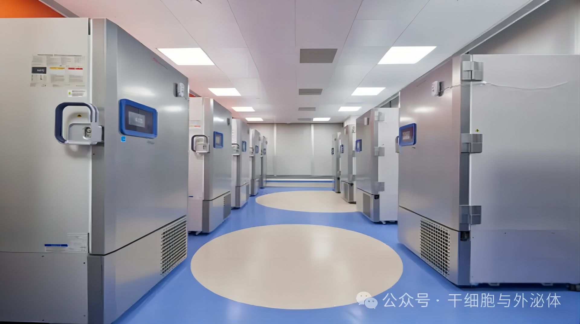 细胞储存行业新趋势：储存iPS细胞让细胞治疗惠及更多大众
